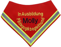 Hundehalstuch In Ausbildung für Pädagogikbegleithund, bestickt mit Name und Reflektor