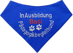 Hhundhelastuch Pädogigikbegleithund in Ausbildung, mit Name und 2 Pfoten bestickt,Halstuch