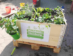 Hochbeet von Hochbeet Hamburg mit Pflanzen befüllt im Kita-Garten