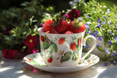 Erdbeeren in einer Tasse