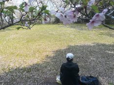 宮山公園で名残の桜を楽しむ