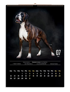 дизайн календаре, дизайн макет календаря, красивые идеи календарей, календари с животными, календари с собаками, настенные календари, дизайн, заказать, идеи, лучшие идеи календарей, немекий боксер, стильные календари черные темные