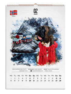 дизайн календаре, дизайн макет календаря, красивые идеи календарей, календари с животными, календари с собаками, настенные календари, дизайн, заказать, идеи, лучшие идеи календарей, немекий боксер, креативные календари белые