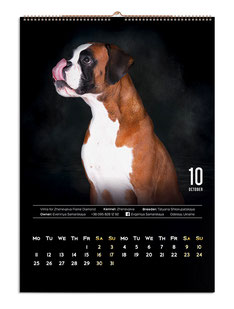 calendars design, wall calendars design,  german boxers, calendars, design, creative calendars design ideas, best calendars designs, black dark calendars, luxury calendars designs