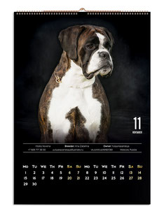 дизайн календаре, дизайн макет календаря, красивые идеи календарей, календари с животными, календари с собаками, настенные календари, дизайн, заказать, идеи, лучшие идеи календарей, немекий боксер, стильные календари черные темные