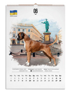 calendars design, wall calendars design,  german boxers, calendars, design, creative calendars design ideas, best calendars designs, white calendars, creative calendars designs