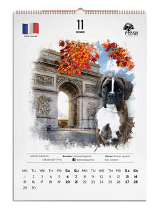 calendars design, wall calendars design,  german boxers, calendars, design, creative calendars design ideas, best calendars designs, white calendars, creative calendars designs