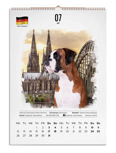calendars design, wall calendars design,  german boxers, calendars, design, creative calendars design ideas, best calendars designs, white calendars, creative calendars designs