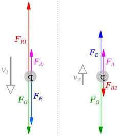 Abb. 2: Kräfte bei der Ab- (links) und Aufwärtsbewegung (rechts)