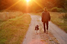 Un chien et un homme marche sur un chemin au soleil levant par coach canin 16 éducateur canin en charente