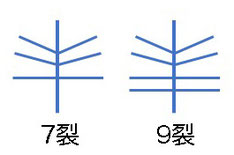 ＃17　思い込んでいた花弁の模式図