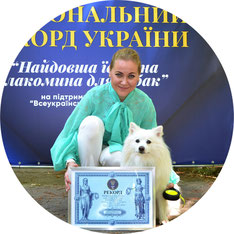 Japanese Spitz Simba, Ukraine, National Record of Ukraine, 2021, owners, dogs, The Longest delicacy for dogs, unusual records, Yuliya Strizhkina