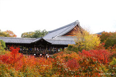 京の秋（紅葉）