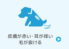 皮膚が赤い 耳が痒い 毛が抜ける ガレン動物病院