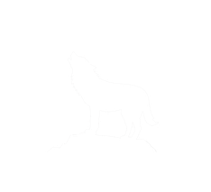 Fahrschule in Brauweiler