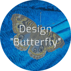 Website Beispiel "Butterfly"