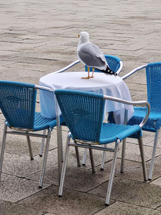 Winter auf dem Markusplatz mit einem Gast