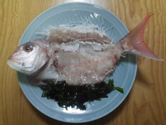 マダイのお刺身（姿造り）　はこちらからどうぞ