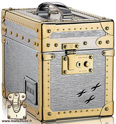Boîte à promenade PM Louis Vuitton - Epi Aluminium
