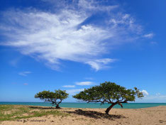 photo paysage guadeloupe