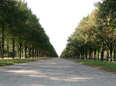 Georgengarten in den Herrenhäuser Gärten Hannover