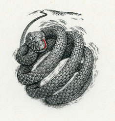 2012　丘を越 From beyond the Hill　7. 1x 6. 2cm-Limited Edition 30　木口木版 ￥12,000