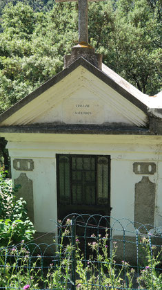 Cimetière d'Asco - Tombeau de l'abbé F. Trojani