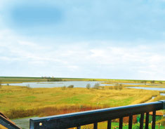 Aussicht vom Gulfhof