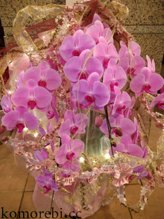 光るLEDリボン使用コチョウラン