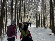 針葉樹林帯から広葉樹林帯へ