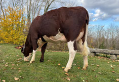 3ème : UFOLETTE (Rover x Naturaly)