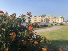 Belvedere Wien