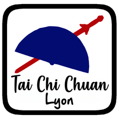 https://sites.google.com/view/tai-chi-chuan-lyon/accueil