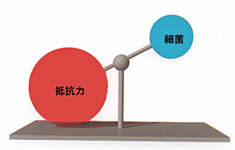 細菌と抵抗力のバランス関係で病気が発症する