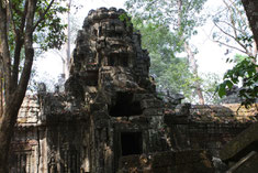 Ta Nei Tempel, Siem Reap