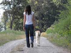 Frau mit Hund von hinten zu sehen beim gemeinsamen Spaziergang