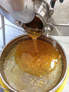 Honig durchläuft Grob- und Feinsieb damit Wachsstückchen herausgesiebt werden.