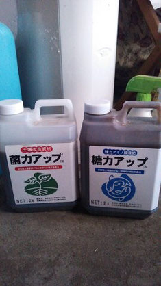 菌力アップ 糖力アップ