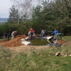 Neues Biotop in Sulzbach/Main (M. Knippel)