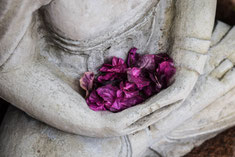 Trajet pleine conscience, méditation, MBSR