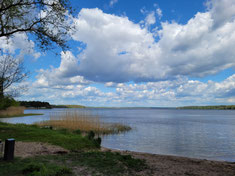 Regionalpark Kauno Marios als außerschulischer Lernort.