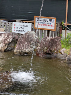 小さな釣堀