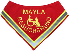 Besuchshund, Schulhund, Rollstuhl