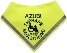 Besticktes Hundehalstuch, Therapiehund, Begleithund, Name, Azubi