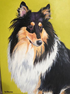 Anni,Collie