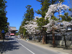 長勝寺禅林街