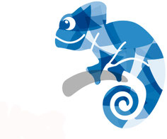 Monica Hafner, Tagesstrukturen Chamäleon, Küttigen