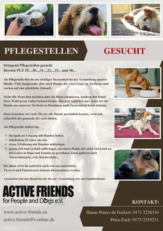 Zum Vergrößern bitte anklicken