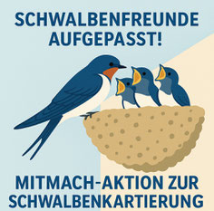 erstellt durch CanvaPro