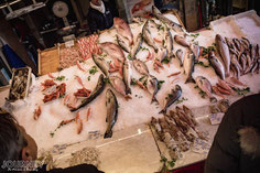 Verschiedene Fische auf einem Marktstand.
